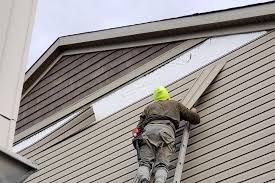 Best Vinyl Siding Installation  in Citrus Park, FL